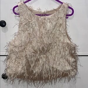 Zara Kids Beige Feathered Top